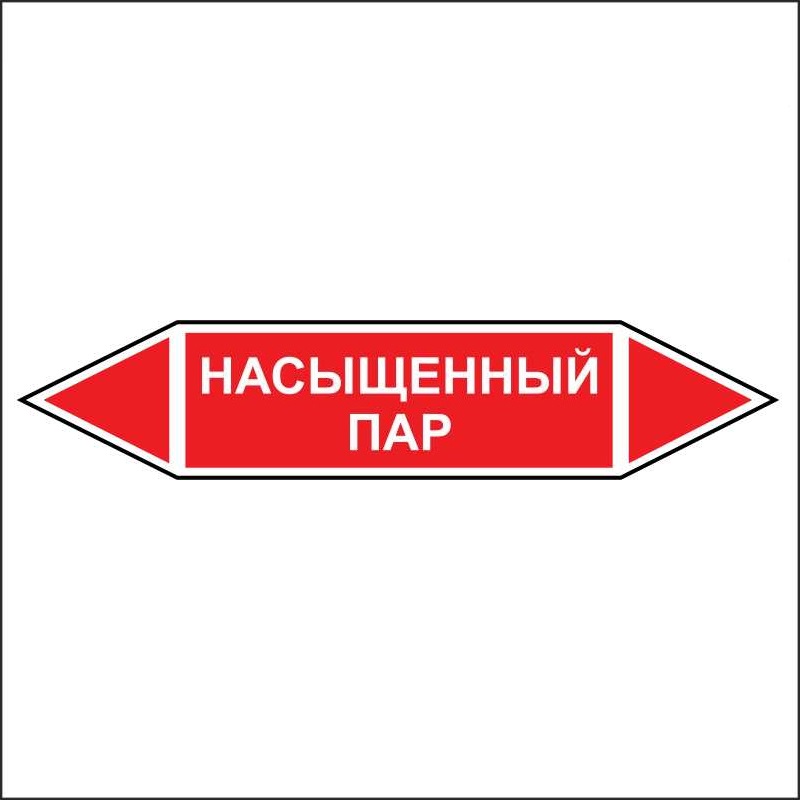 Знак безопасности «Насыщенный пар - двусторонние направление»